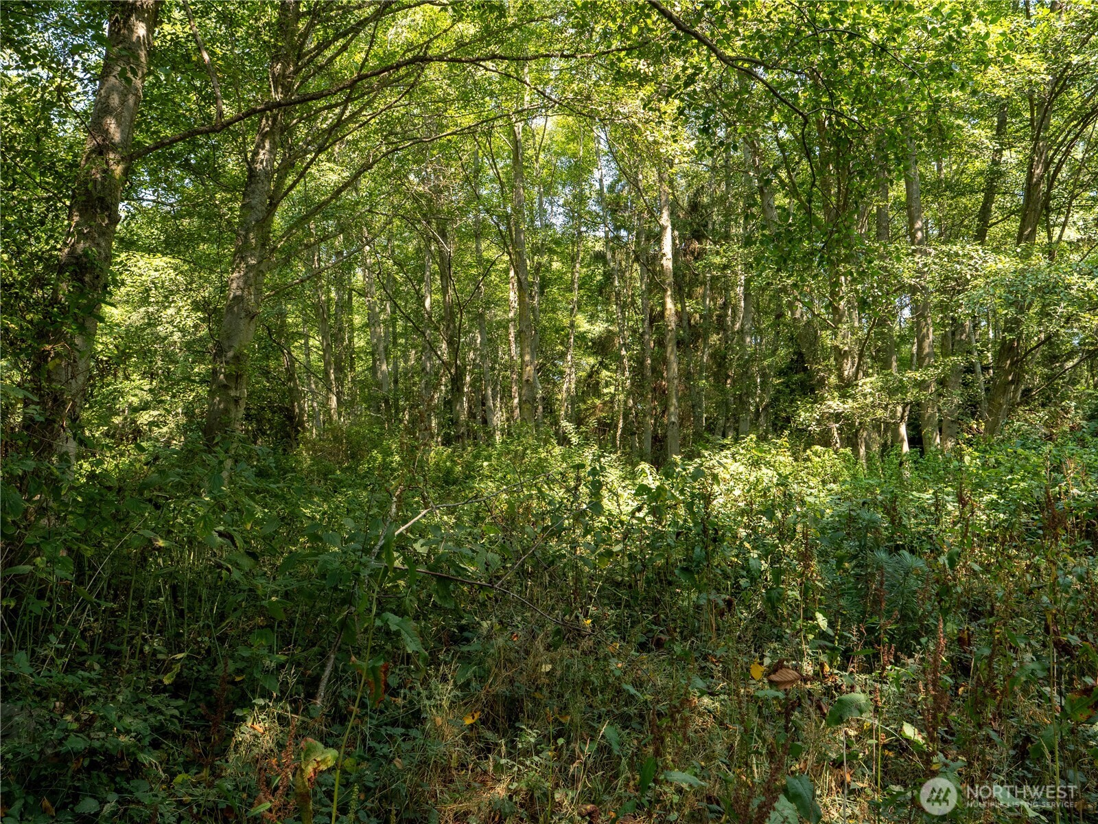 0 Small Lane Property Photo 6