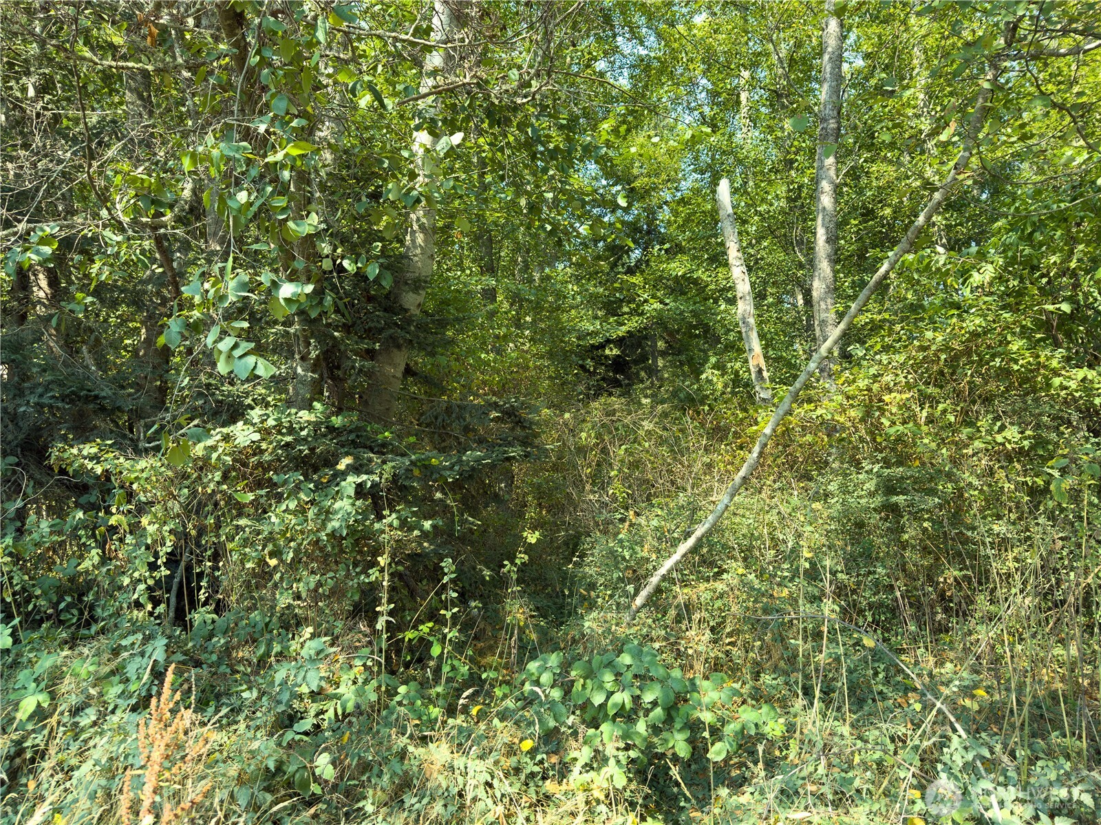 0 Small Lane Property Photo 7