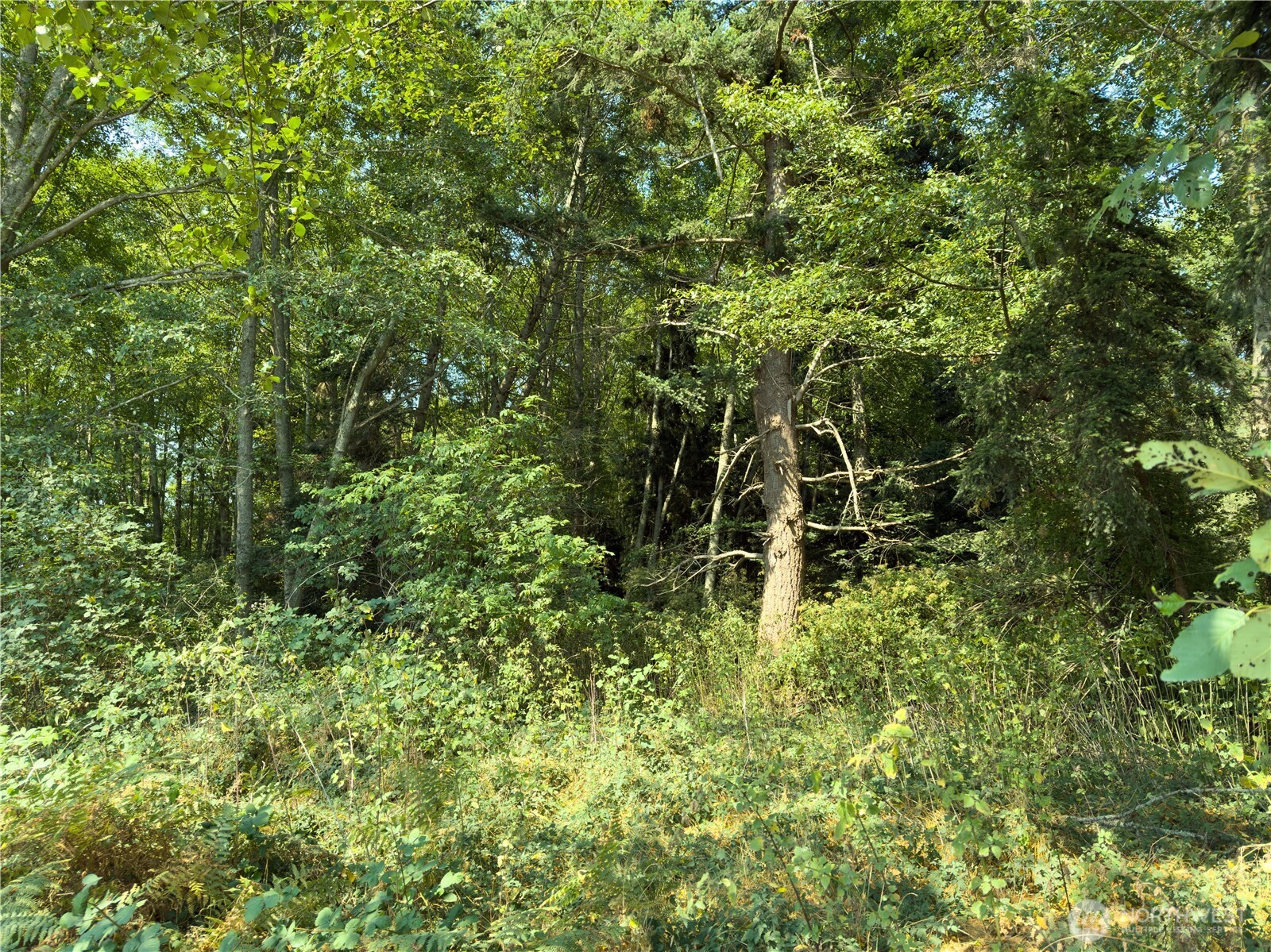 0 Small Lane Property Photo 8
