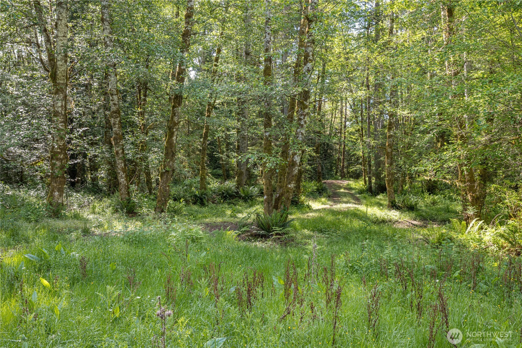 0 Durrwachter Road Property Photo 23