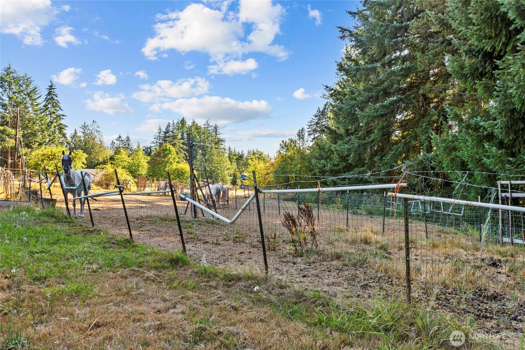 342 Chilvers Road Property Photo 25
