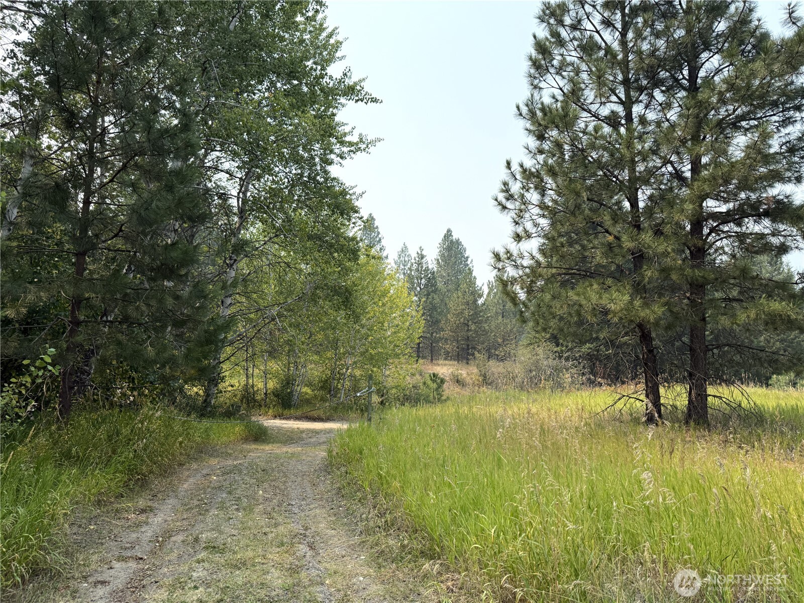 90 Gulch Road Property Photo 25
