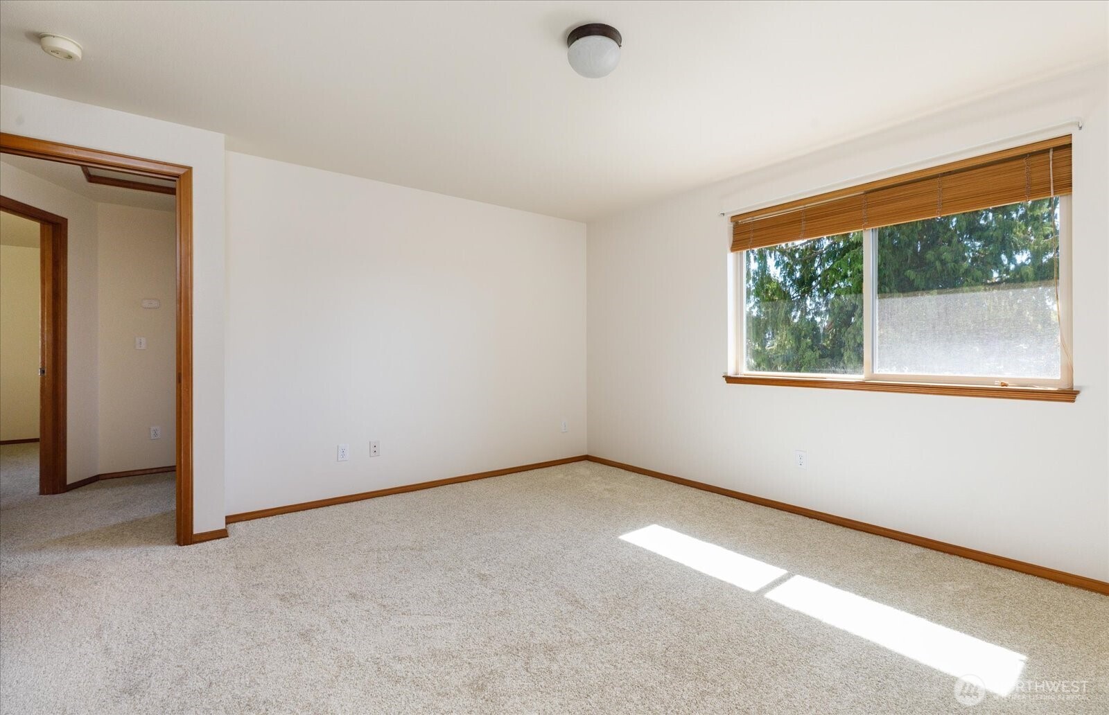 1279 Halsey Drive Property Photo 22