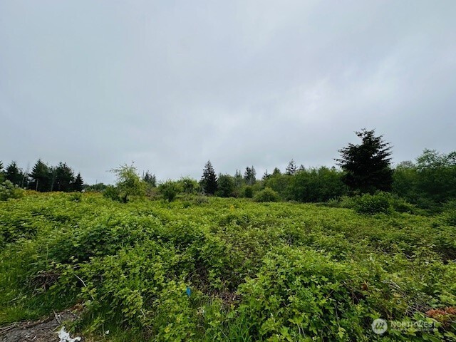 4311 Bethel Road Property Photo 2
