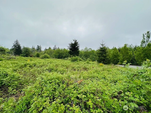 4311 Bethel Road Property Photo 3