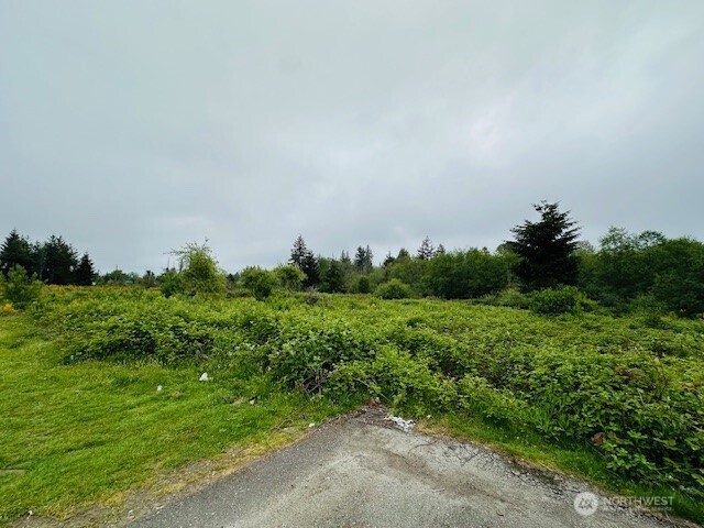 4311 Bethel Road Property Photo 6