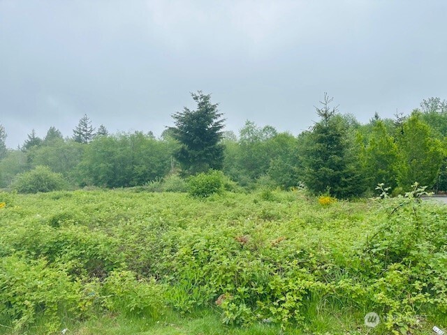 4311 Bethel Road Property Photo 7