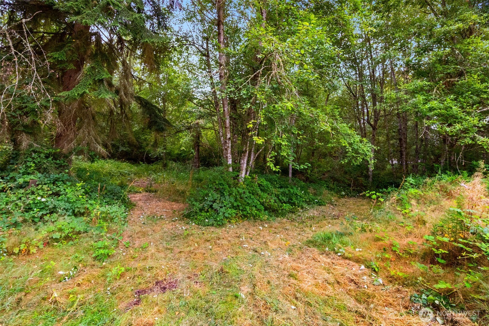 14512 246th Street Property Photo 20