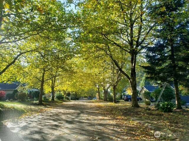 7710 71st Avenue Property Photo 2