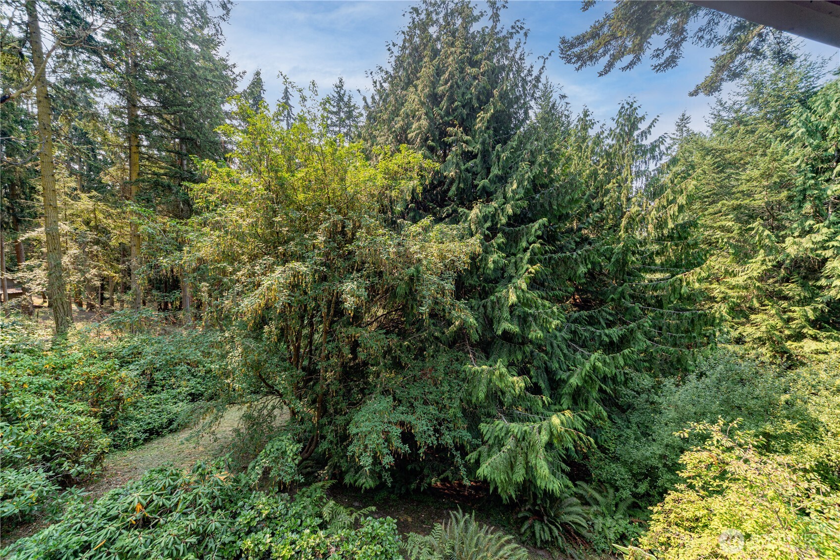 2237 Ivy Street Property Photo 29