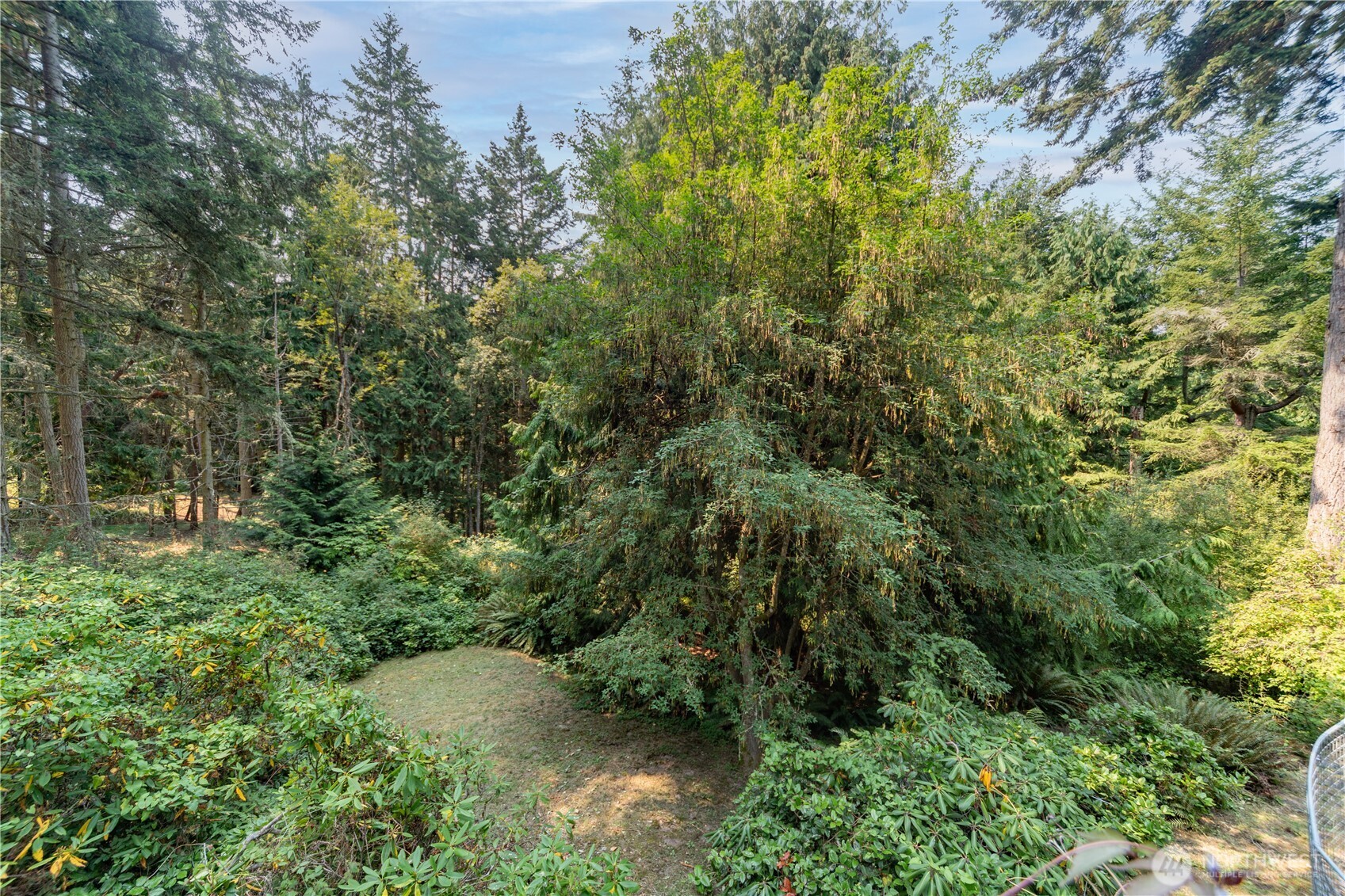 2237 Ivy Street Property Photo 35