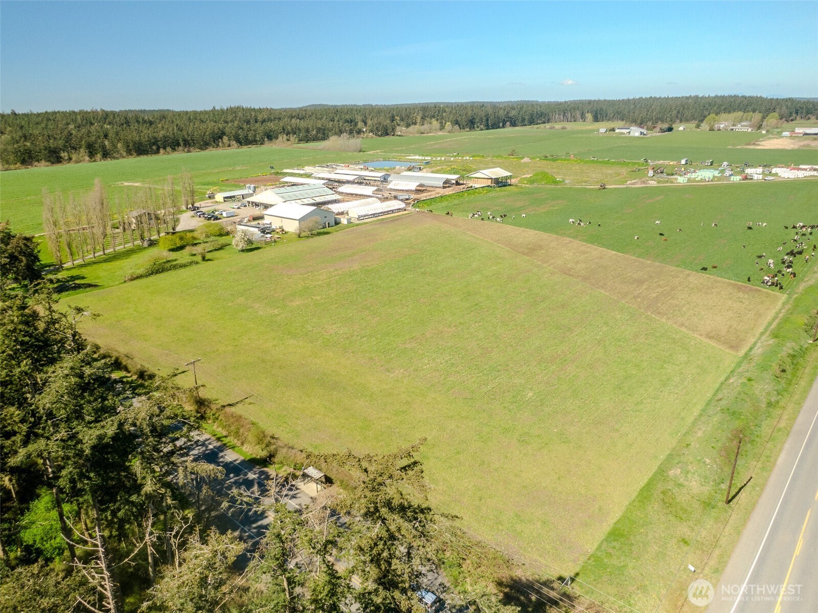 1240 Arnold Road Property Photo 36