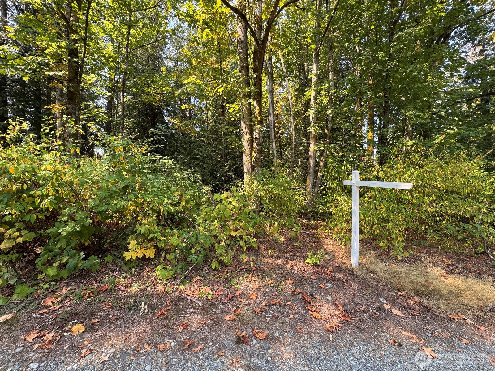 157817 Roseview Street Property Photo 1