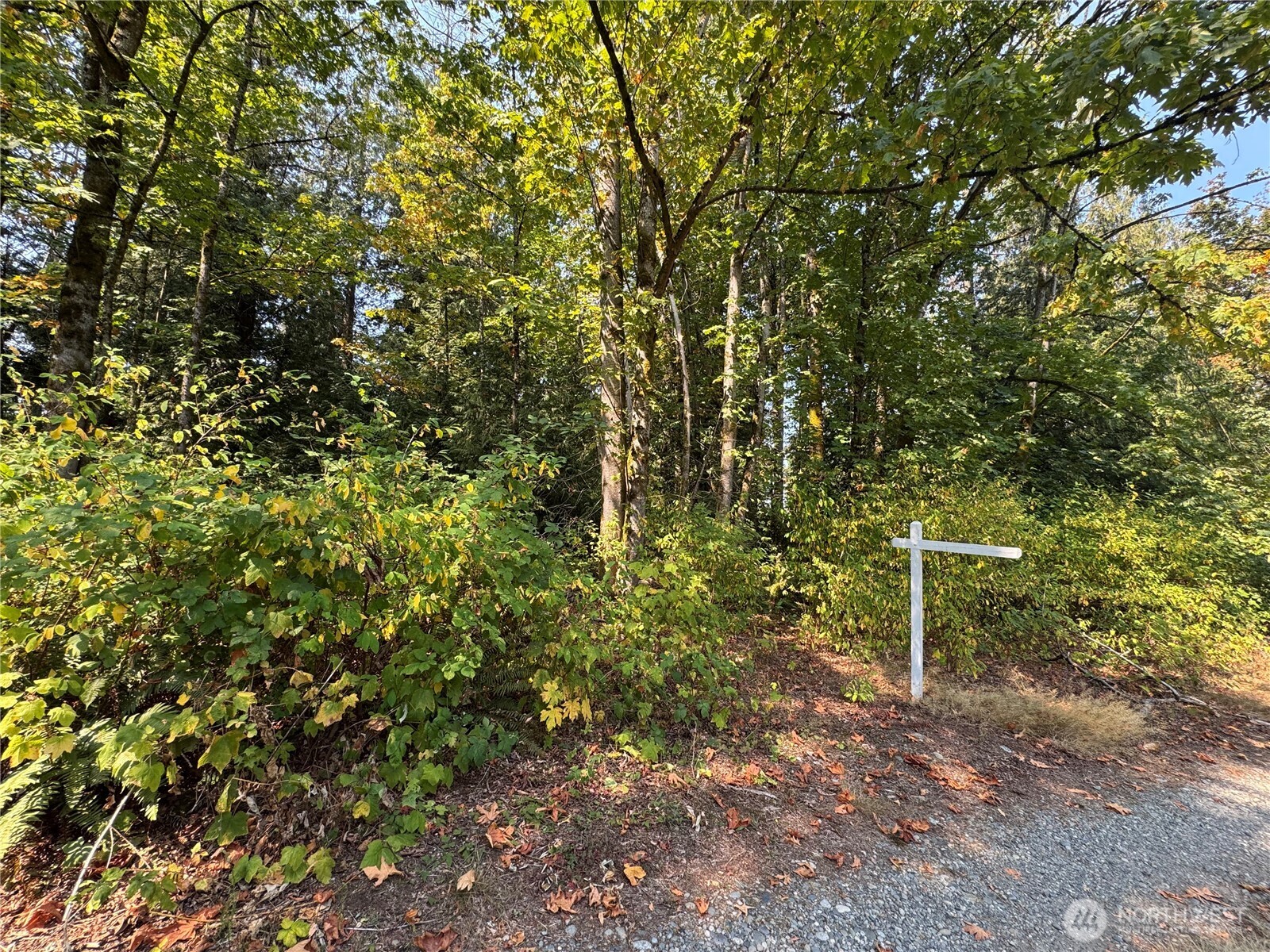 157817 Roseview Street Property Photo 3