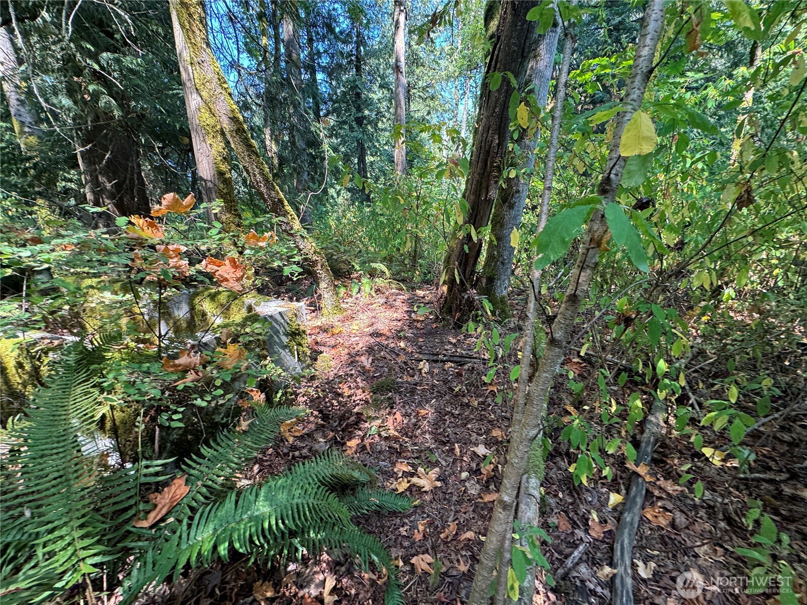 157817 Roseview Street Property Photo 6
