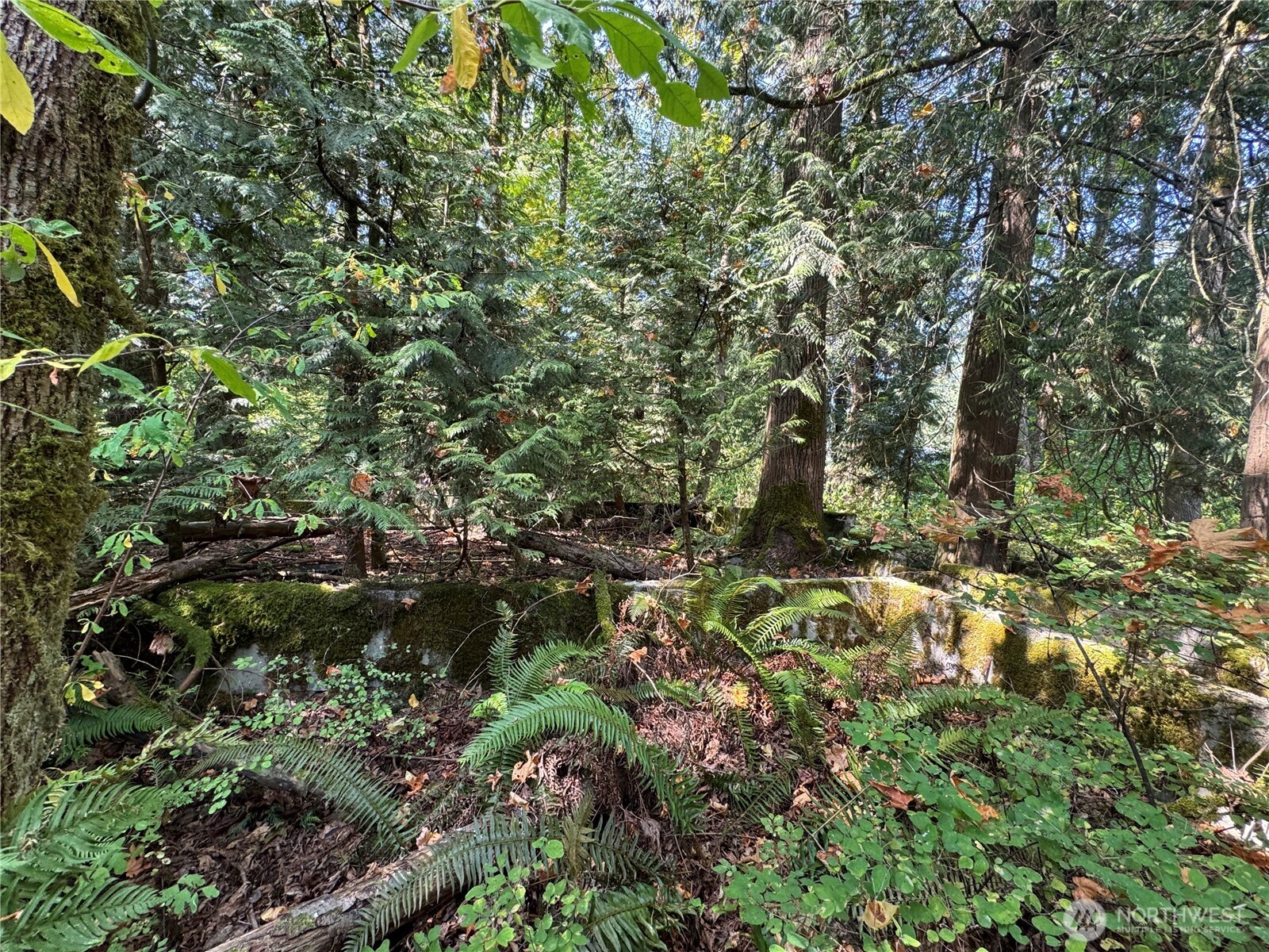 157817 Roseview Street Property Photo 7