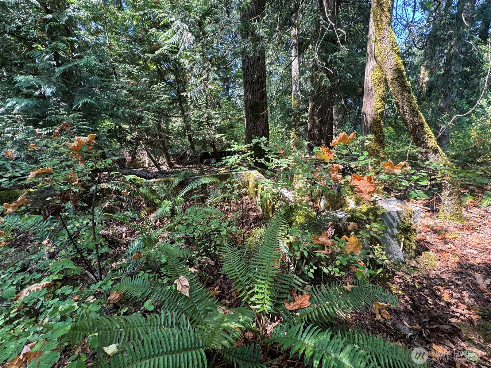 157817 Roseview Street Property Photo 9