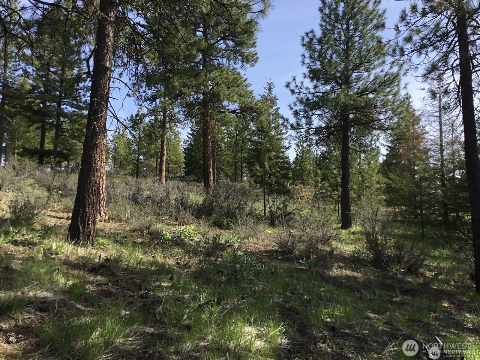 0 Ivan Morse Road Property Photo 8