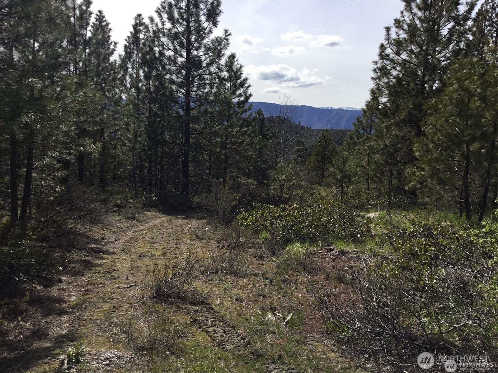 0 Ivan Morse Road Property Photo 12