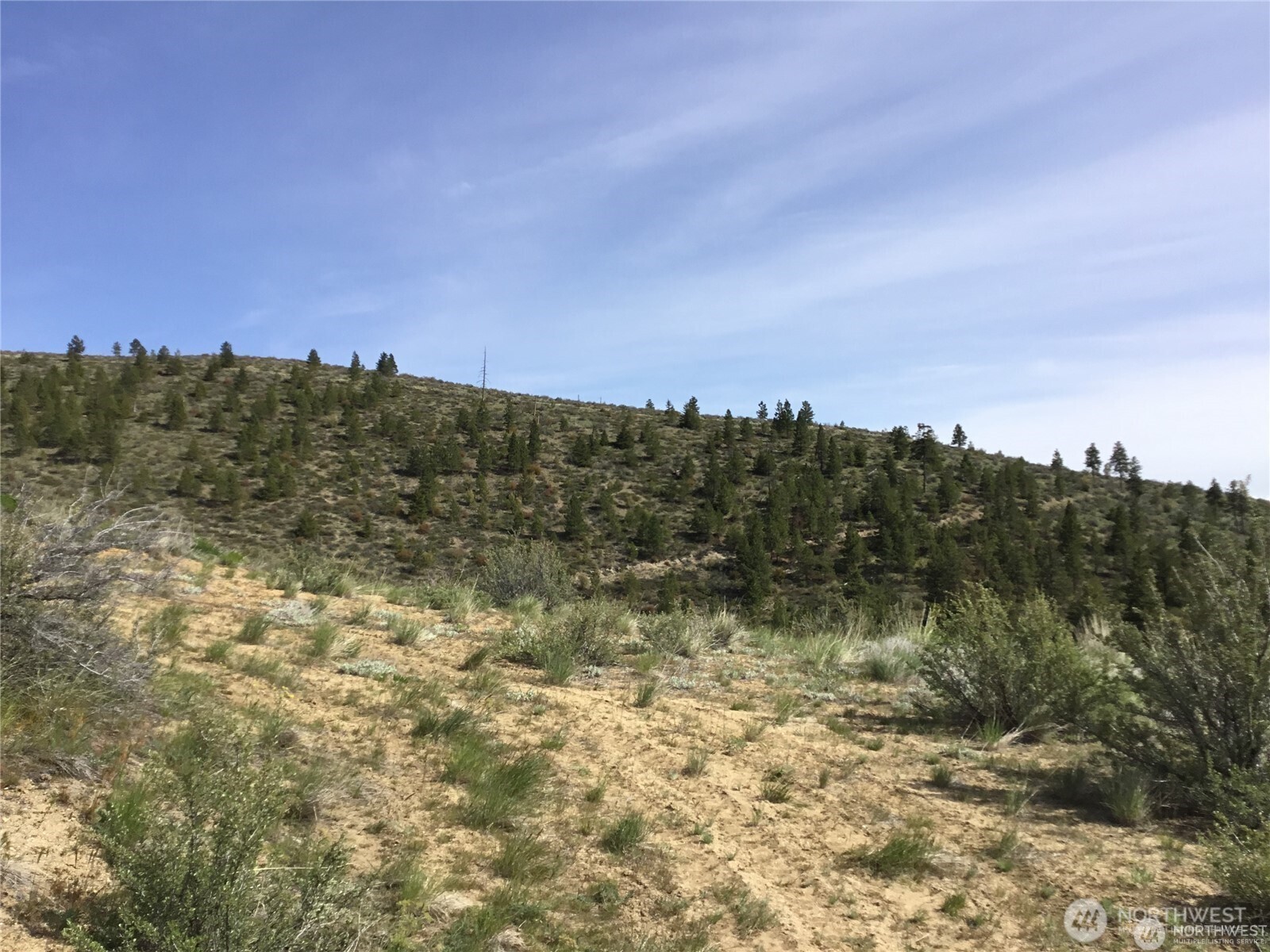 0 Ivan Morse Road Property Photo 15
