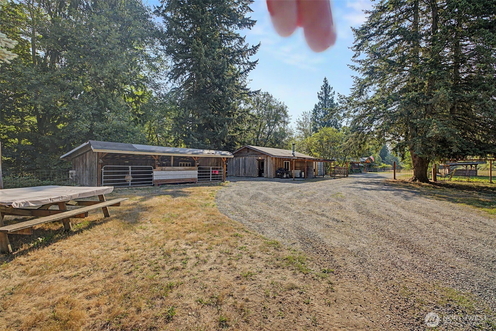 19829 Sill Road Property Photo 6