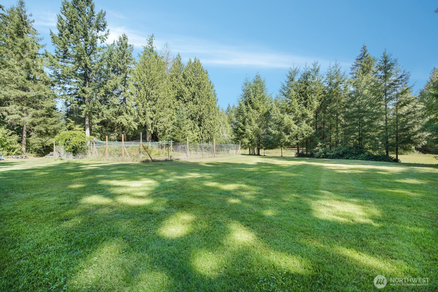 3824 107th Avenue Property Photo 22