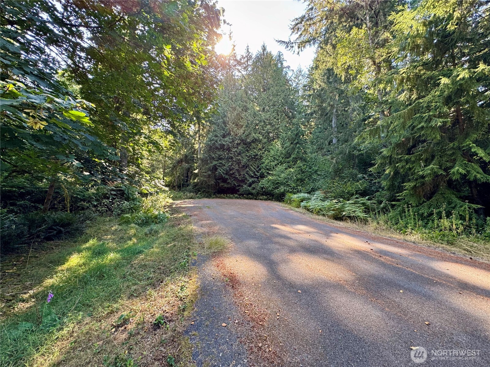 10516 106th Street Property Photo 1