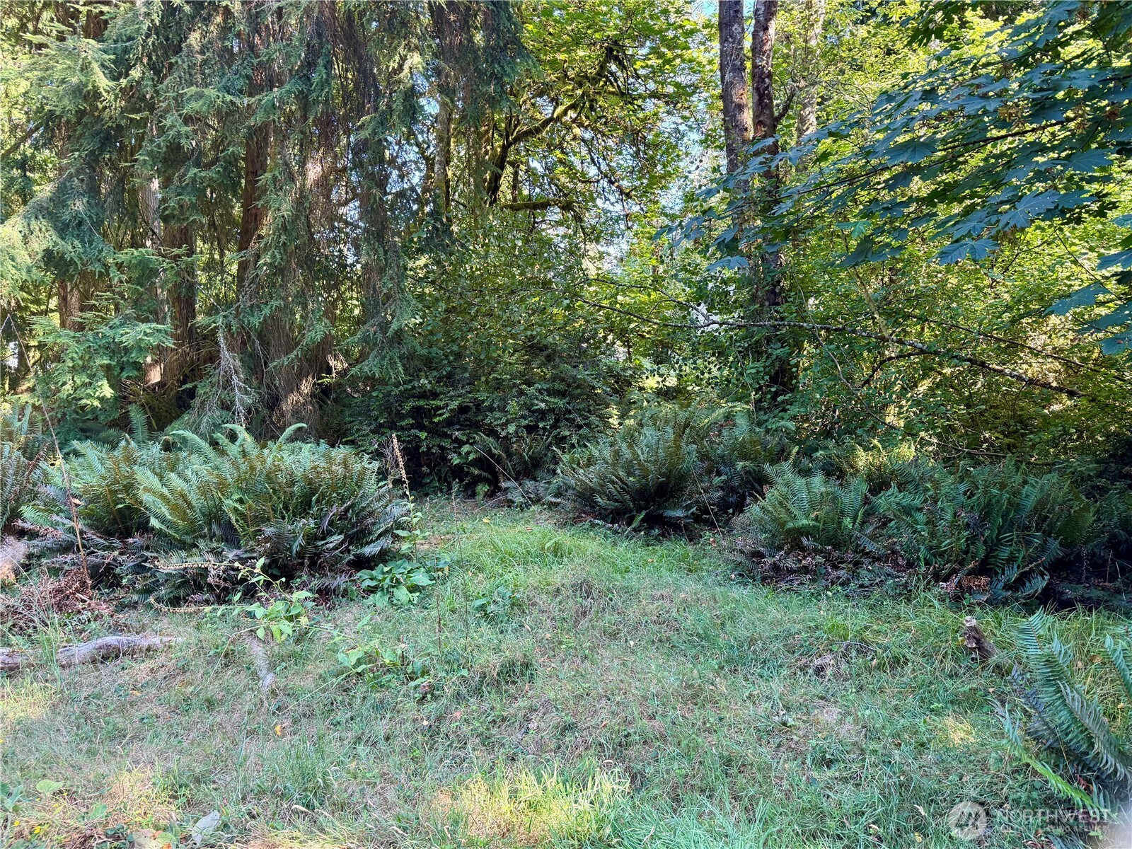 10516 106th Street Property Photo 3