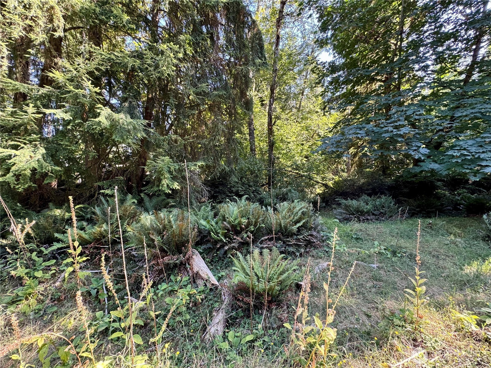 10516 106th Street Property Photo 4