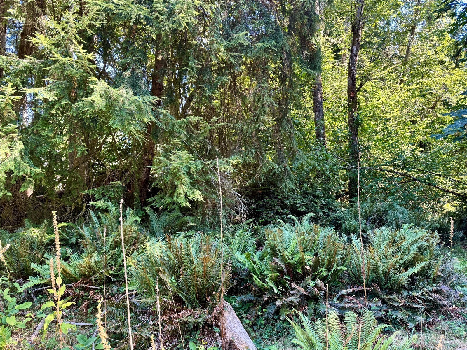 10516 106th Street Property Photo 5