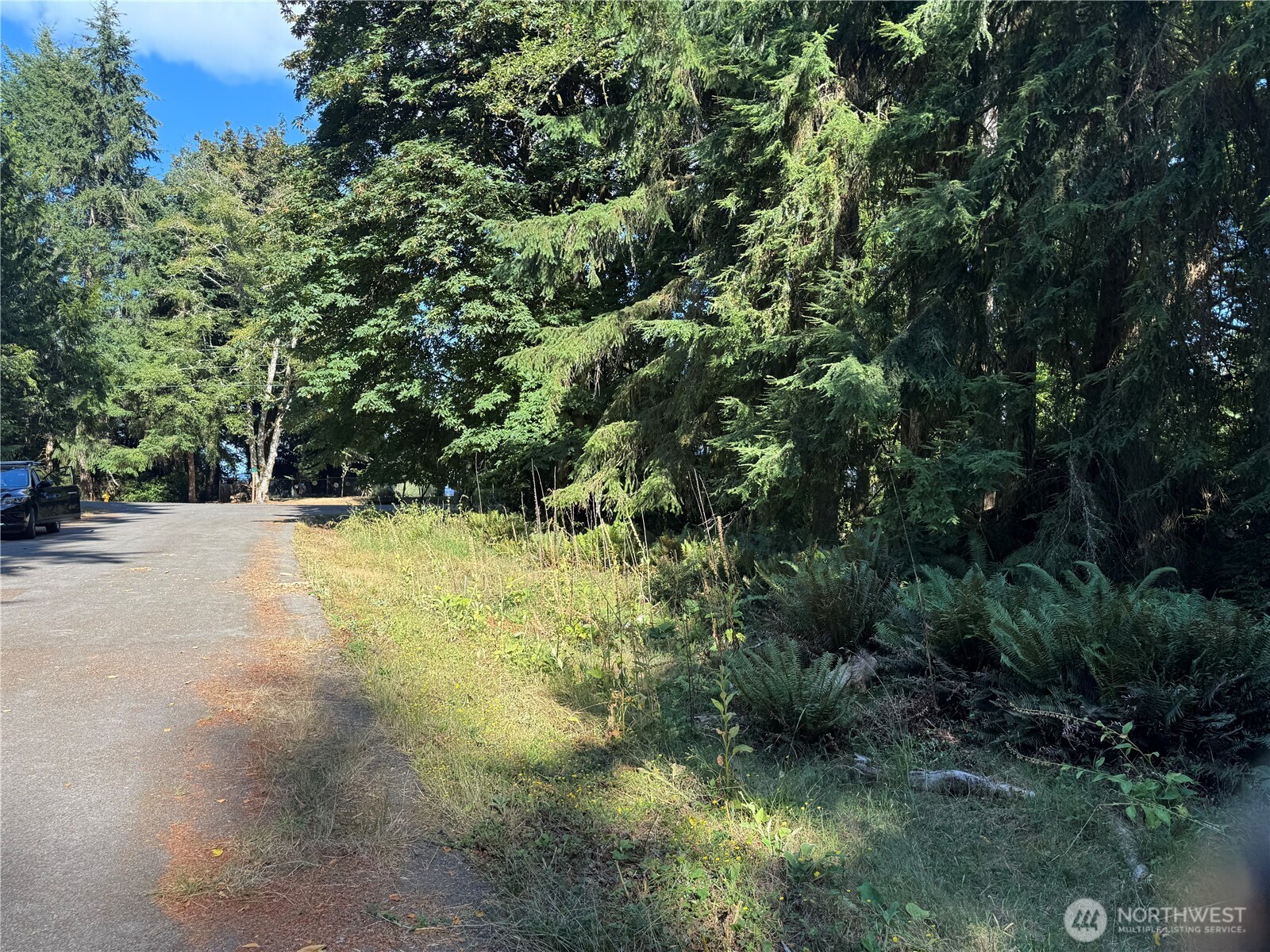 10516 106th Street Property Photo 7