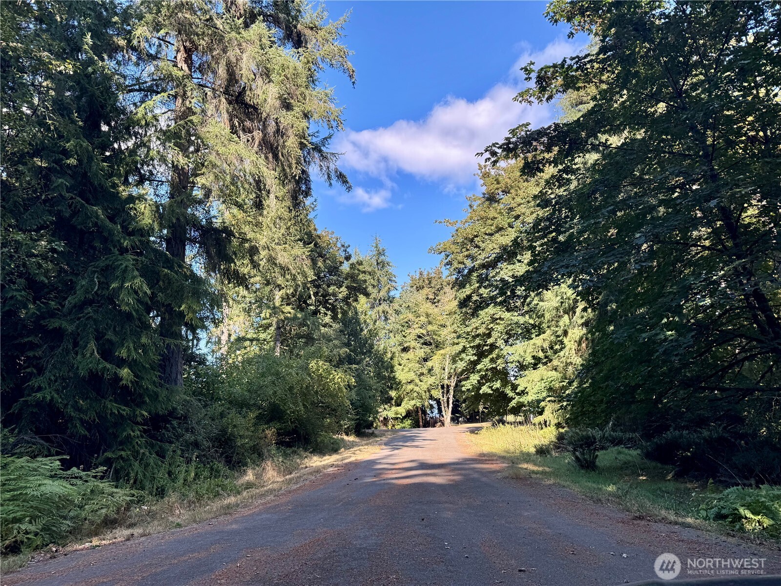 10516 106th Street Property Photo 9