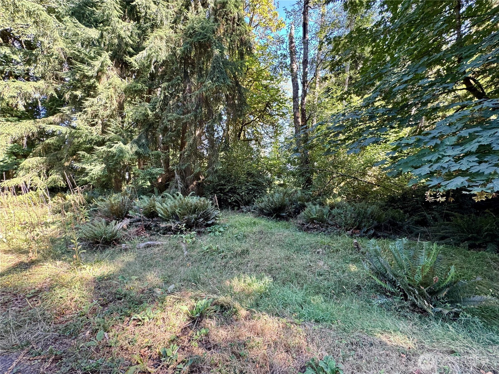10516 106th Street Property Photo 10