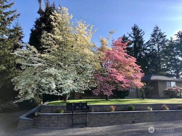 10419 16th Street Property Photo 37