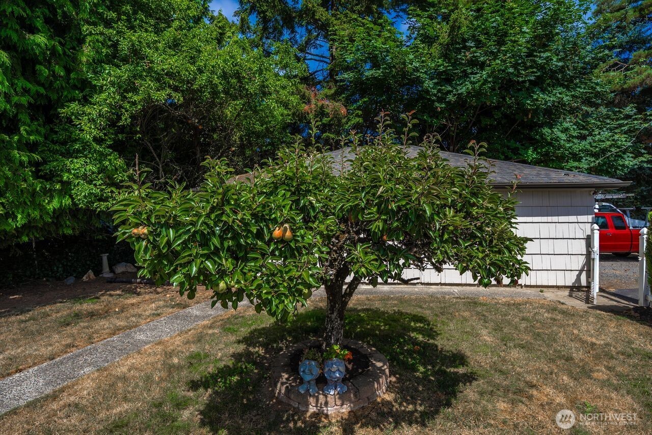 10419 16th Street Property Photo 38