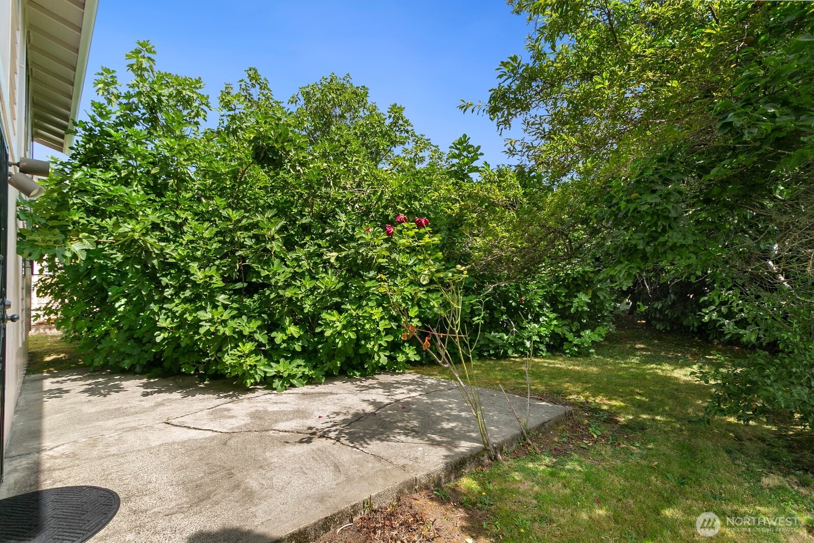 6774 28th Avenue Property Photo 24