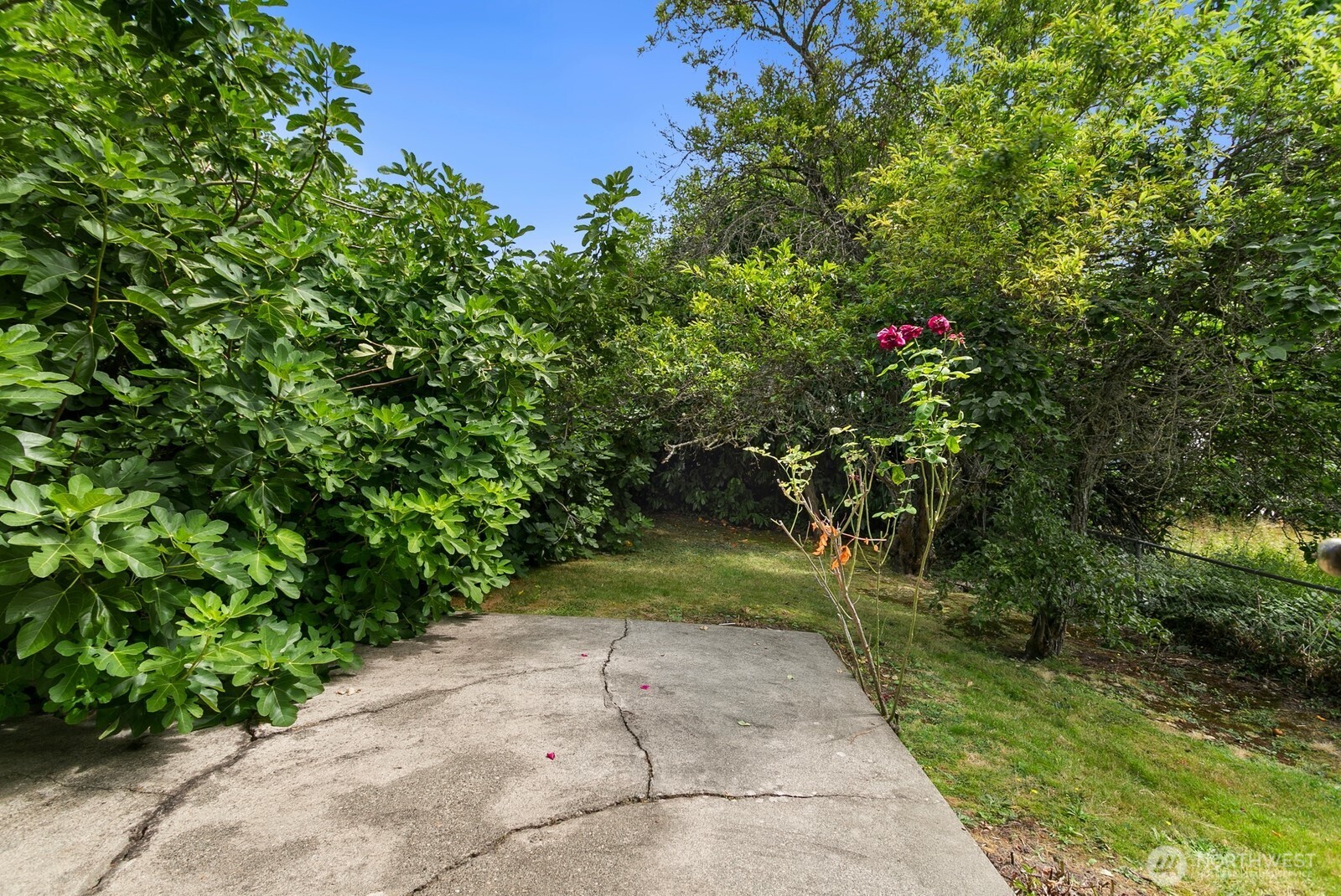 6774 28th Avenue Property Photo 25