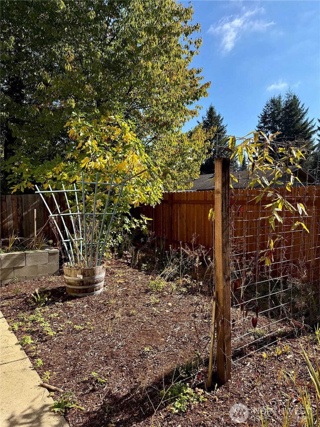 307 X Street Property Photo 34