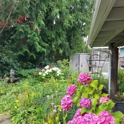 307 X Street Property Photo 35
