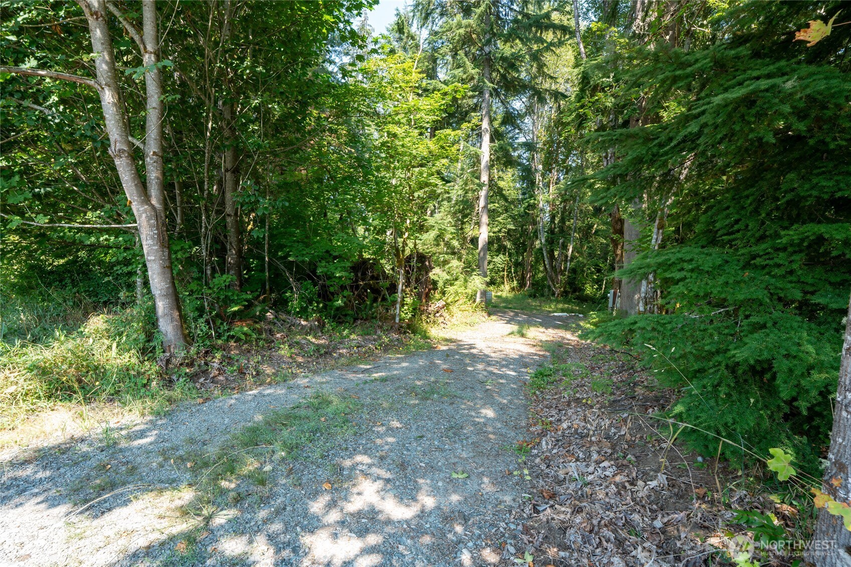 54982 214th Avenue Property Photo 12