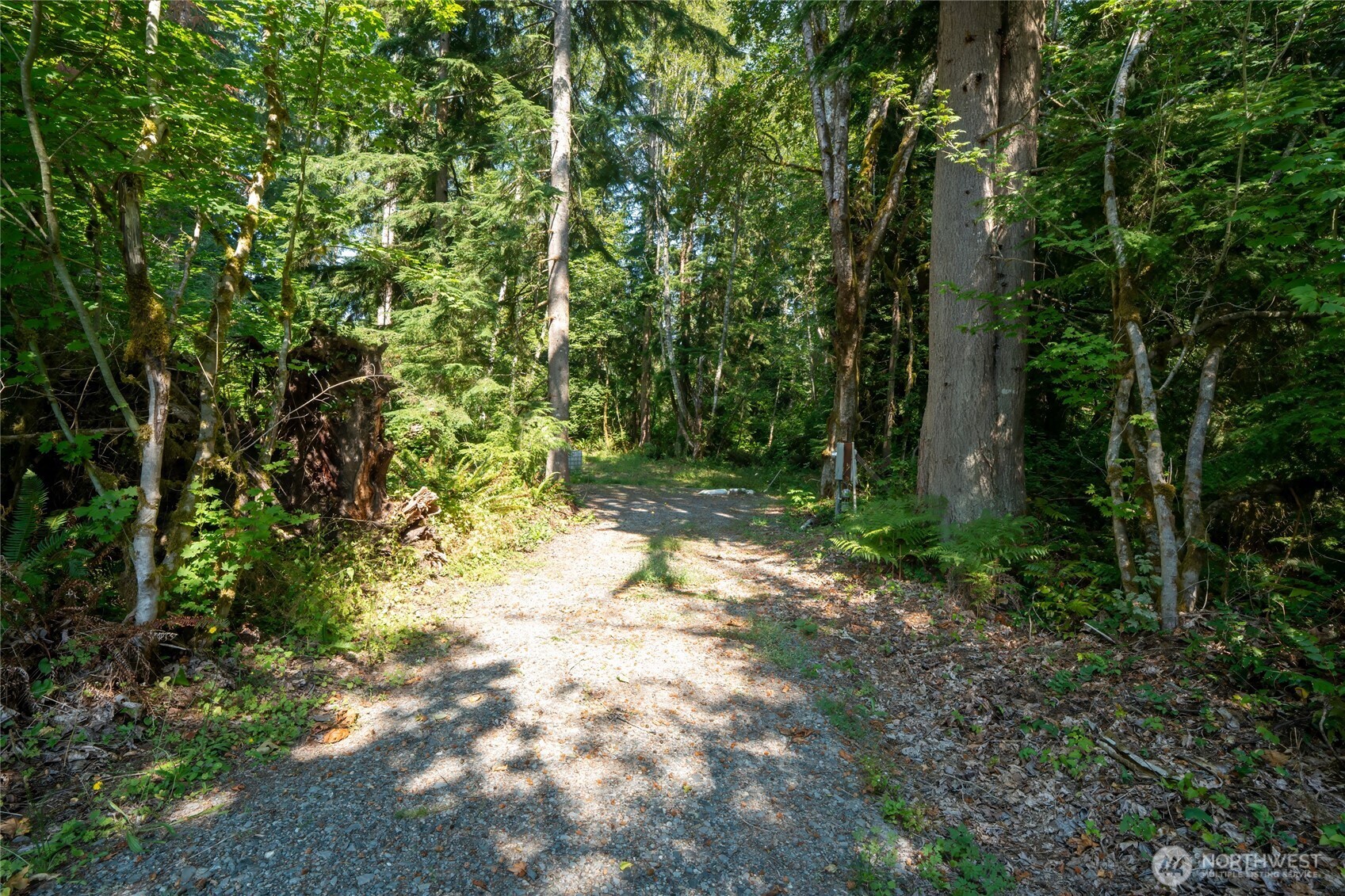 54982 214th Avenue Property Photo 13