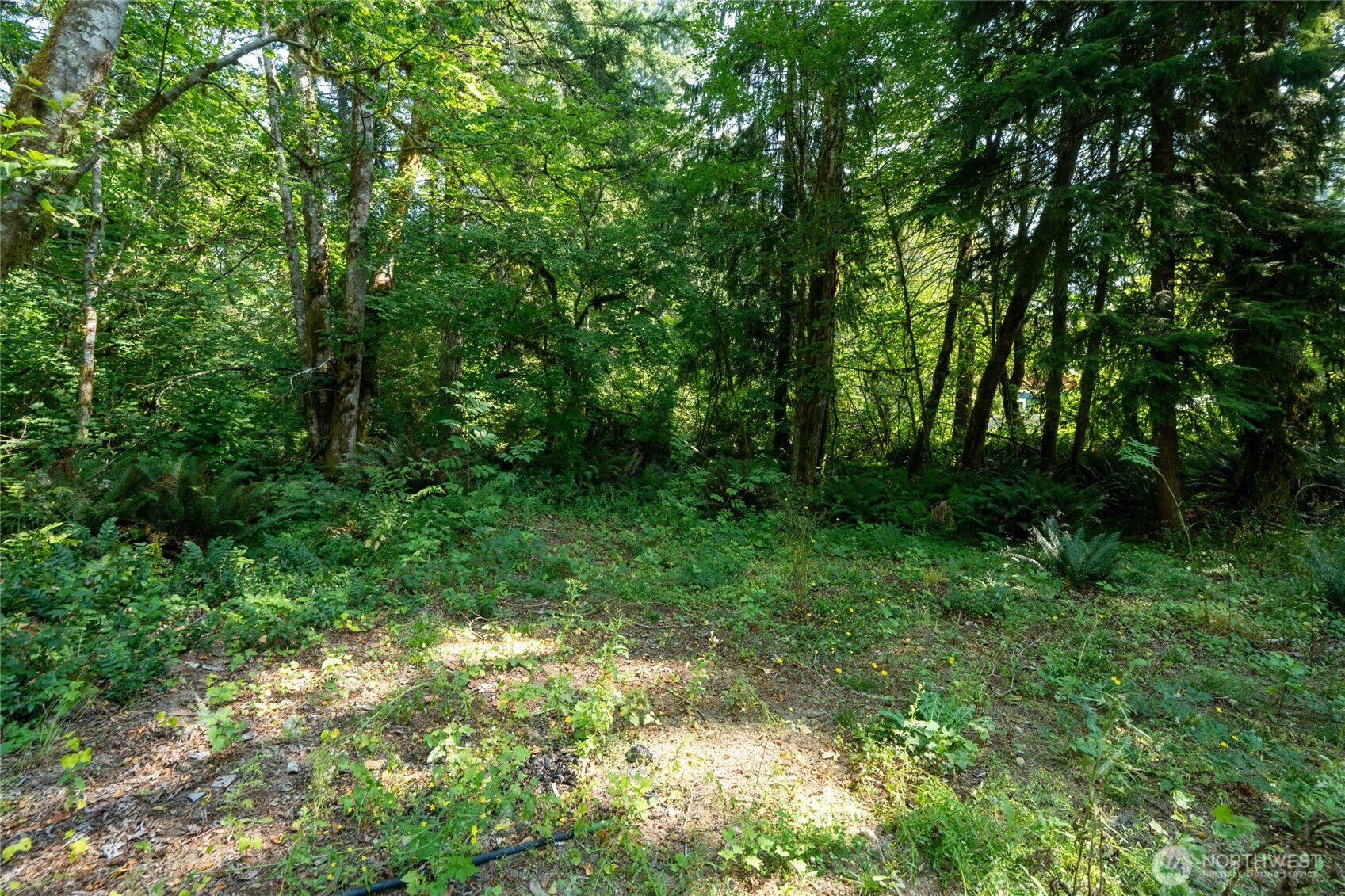 54982 214th Avenue Property Photo 23