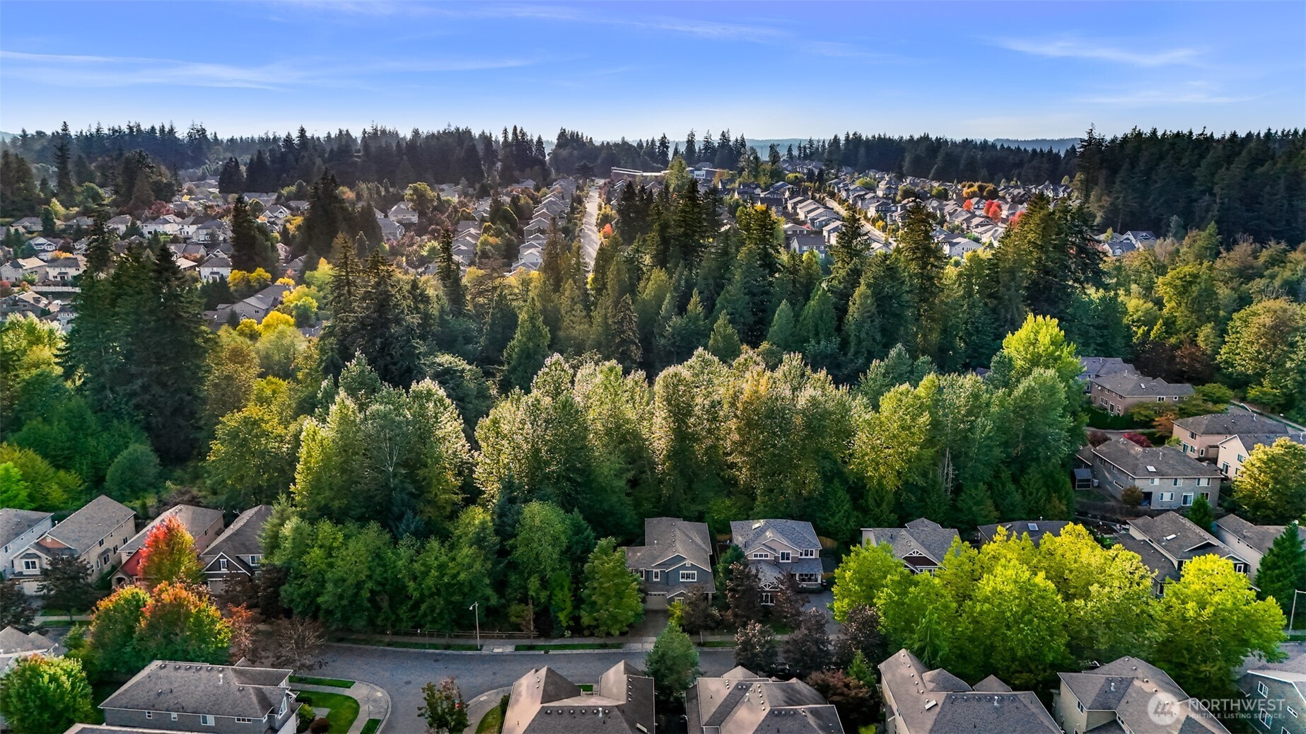 12019 178th Place Property Photo 33