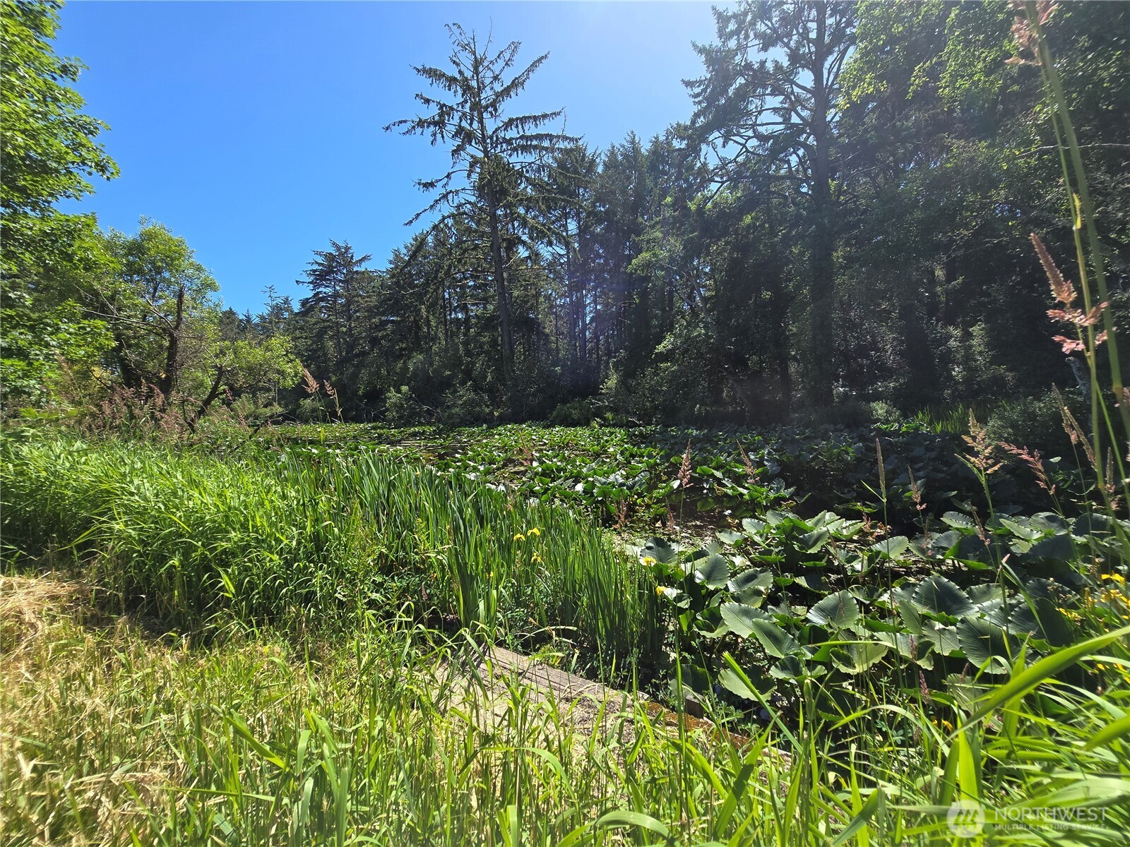 2225 State Route 105 Property Photo 1