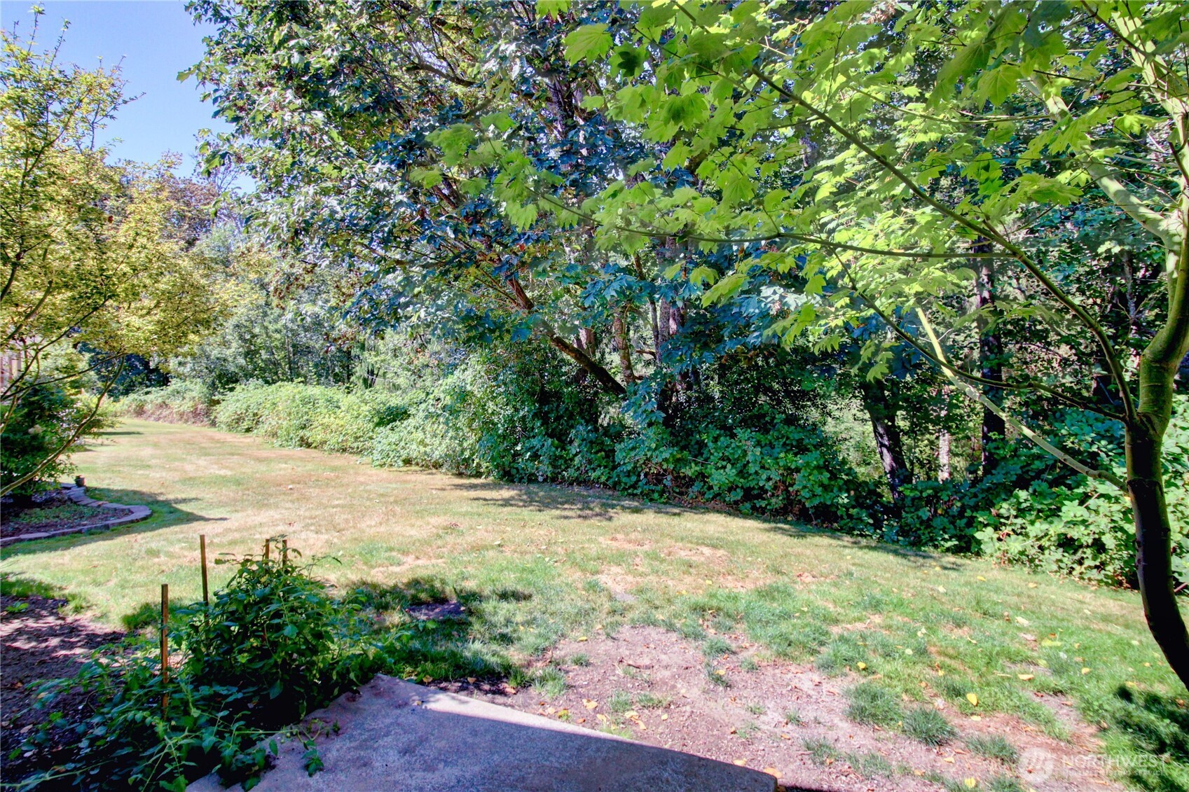1540 Wildflower Way Property Photo 29