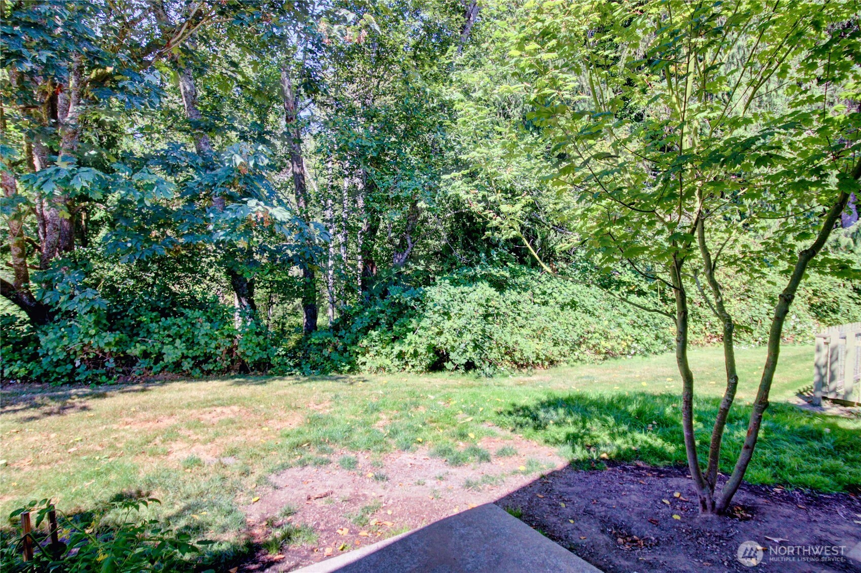 1540 Wildflower Way Property Photo 30