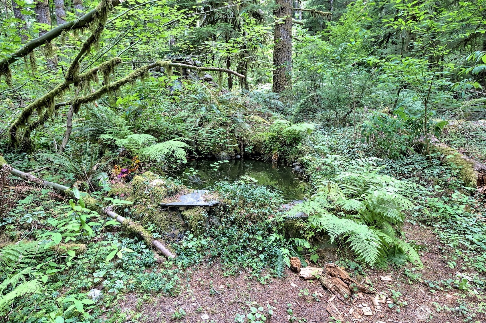 832 N Lake Cushman Road Property Photo 7