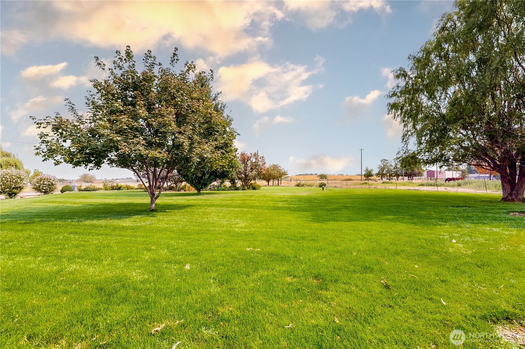 52406 Sunquist Road Property Photo 26