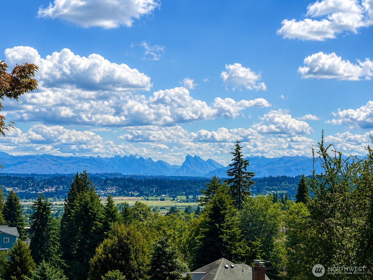 3703 Federal Avenue Property Photo 6