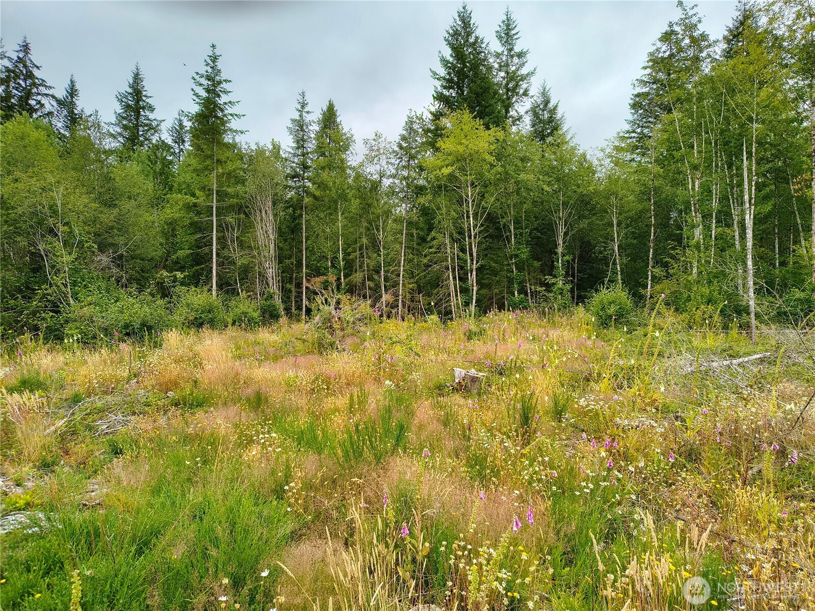 6510 101 St Avenue Property Photo 1